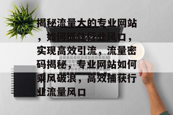 揭秘流量大的专业网站，如何抓住行业风口，实现高效引流，流量密码揭秘，专业网站如何乘风破浪，高效捕获行业流量风口