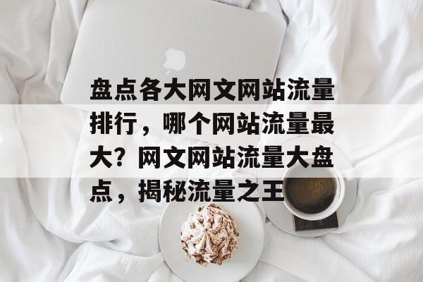 盘点各大网文网站流量排行，哪个网站流量最大？网文网站流量大盘点，揭秘流量之王