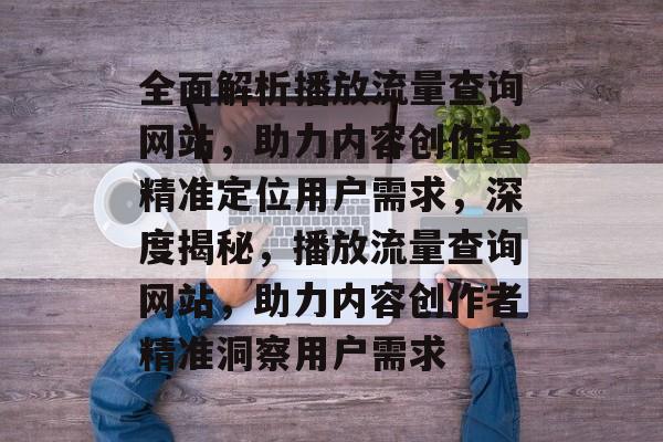 全面解析播放流量查询网站，助力内容创作者精准定位用户需求，深度揭秘，播放流量查询网站，助力内容创作者精准洞察用户需求