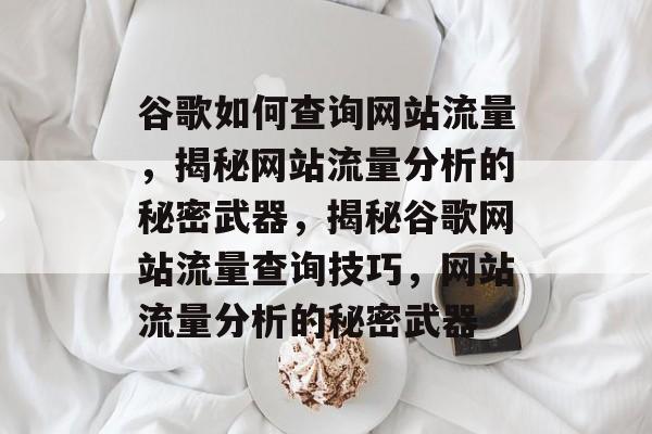 谷歌如何查询网站流量，揭秘网站流量分析的秘密武器，揭秘谷歌网站流量查询技巧，网站流量分析的秘密武器