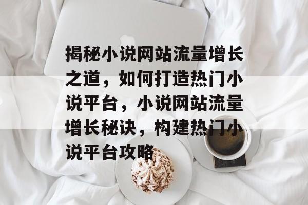 揭秘小说网站流量增长之道，如何打造热门小说平台，小说网站流量增长秘诀，构建热门小说平台攻略