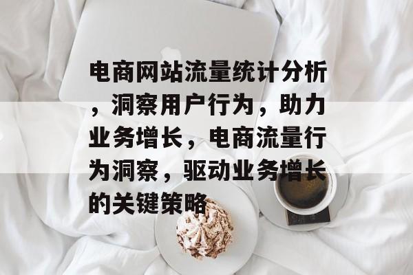 电商网站流量统计分析，洞察用户行为，助力业务增长，电商流量行为洞察，驱动业务增长的关键策略