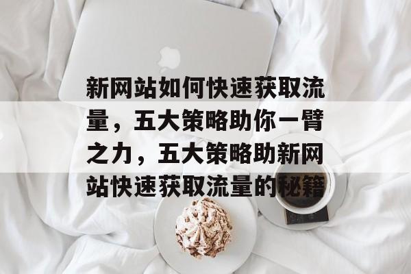 新网站如何快速获取流量，五大策略助你一臂之力，五大策略助新网站快速获取流量的秘籍