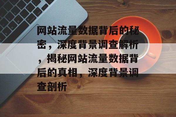 网站流量数据背后的秘密，深度背景调查解析，揭秘网站流量数据背后的真相，深度背景调查剖析