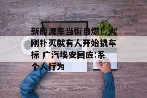 新能源车当街自燃！火刚扑灭就有人开始撬车标 广汽埃安回应:系个人行为