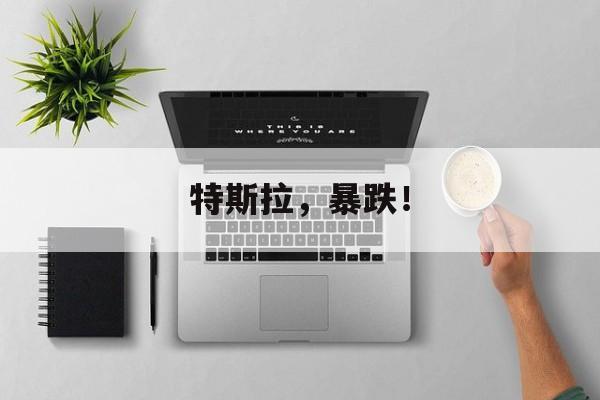 特斯拉，暴跌！