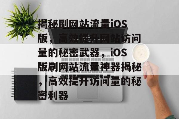 揭秘刷网站流量iOS版，高效提升网站访问量的秘密武器，iOS版刷网站流量神器揭秘，高效提升访问量的秘密利器