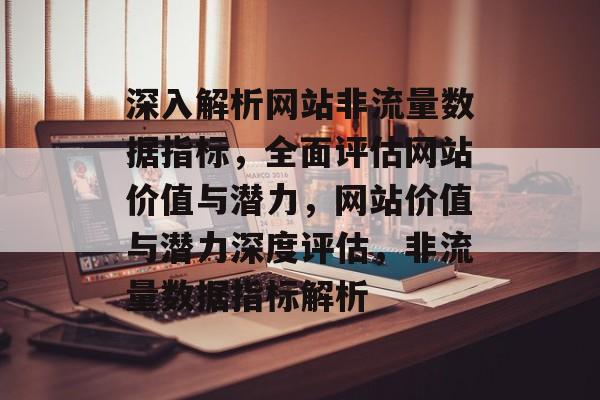 深入解析网站非流量数据指标，全面评估网站价值与潜力，网站价值与潜力深度评估，非流量数据指标解析