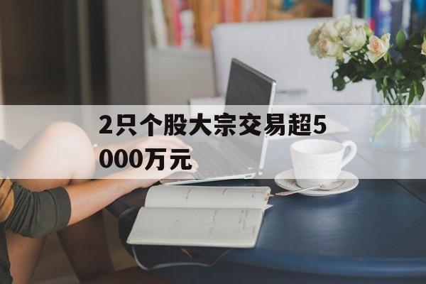 2只个股大宗交易超5000万元