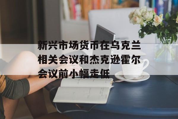 新兴市场货币在乌克兰相关会议和杰克逊霍尔会议前小幅走低