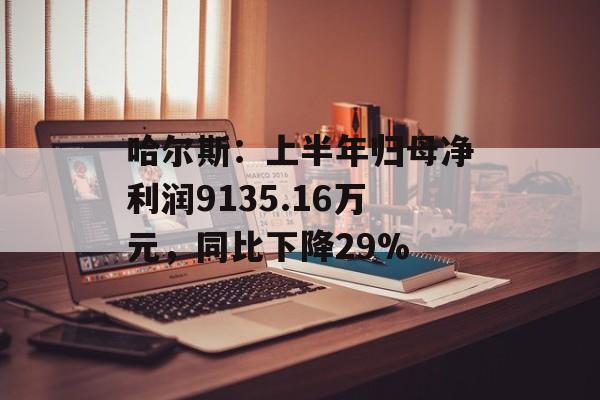 哈尔斯：上半年归母净利润9135.16万元，同比下降29%