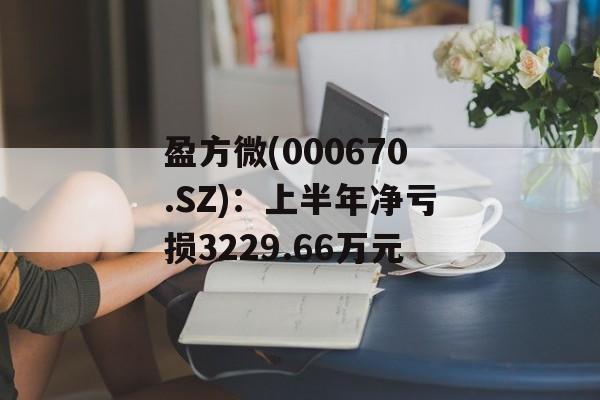 盈方微(000670.SZ)：上半年净亏损3229.66万元