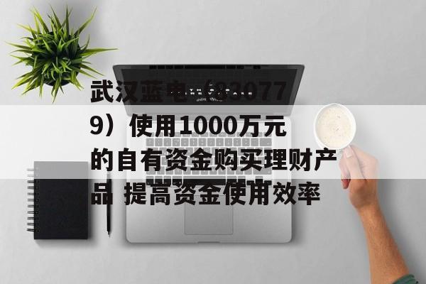 武汉蓝电（830779）使用1000万元的自有资金购买理财产品 提高资金使用效率
