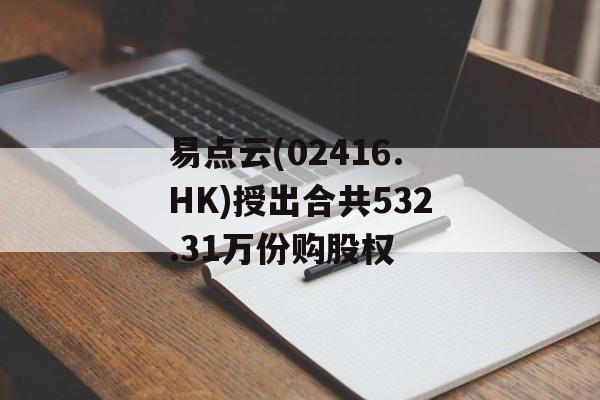 易点云(02416.HK)授出合共532.31万份购股权