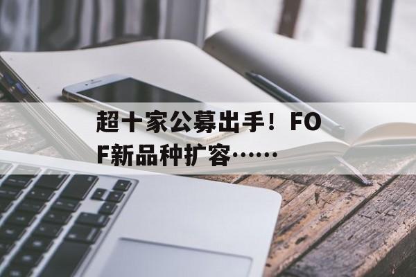超十家公募出手！FOF新品种扩容……