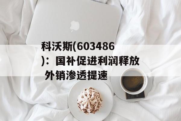 科沃斯(603486)：国补促进利润释放 外销渗透提速