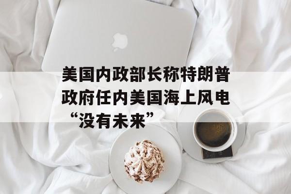 美国内政部长称特朗普政府任内美国海上风电“没有未来”