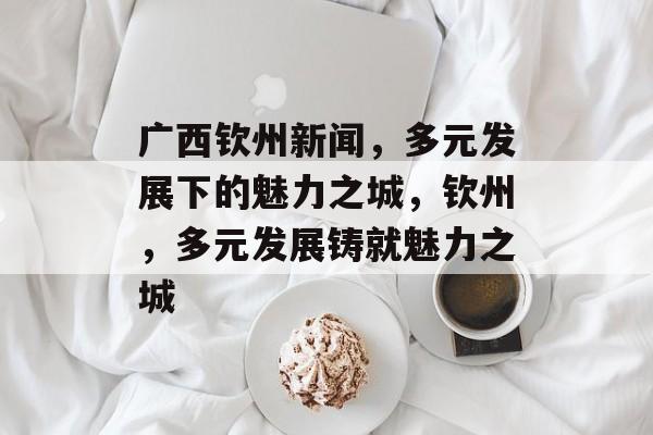 广西钦州新闻，多元发展下的魅力之城，钦州，多元发展铸就魅力之城