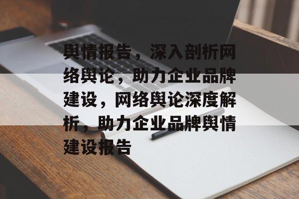 舆情报告，深入剖析网络舆论，助力企业品牌建设，网络舆论深度解析，助力企业品牌舆情建设报告