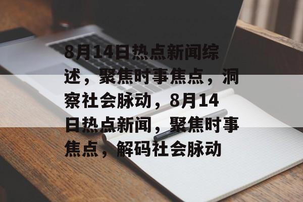 8月14日热点新闻综述，聚焦时事焦点，洞察社会脉动，8月14日热点新闻，聚焦时事焦点，解码社会脉动