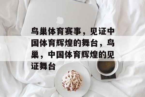 鸟巢体育赛事，见证中国体育辉煌的舞台，鸟巢，中国体育辉煌的见证舞台