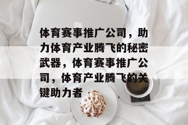 体育赛事推广公司，助力体育产业腾飞的秘密武器，体育赛事推广公司，体育产业腾飞的关键助力者