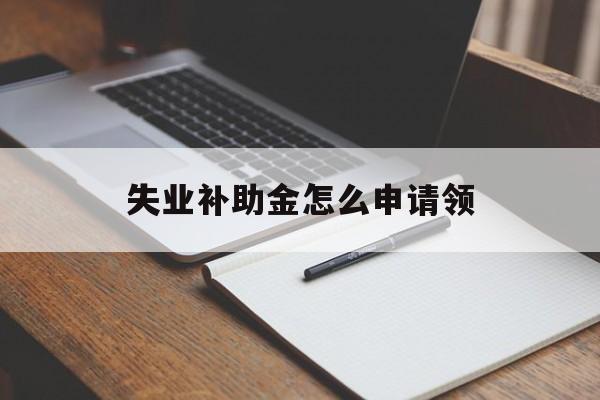 失业补助金怎么申请领
