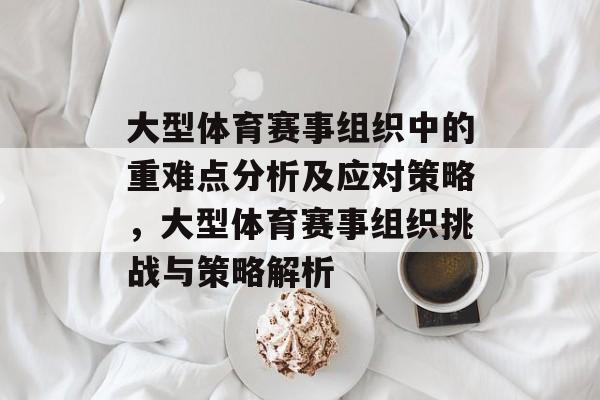 大型体育赛事组织中的重难点分析及应对策略，大型体育赛事组织挑战与策略解析