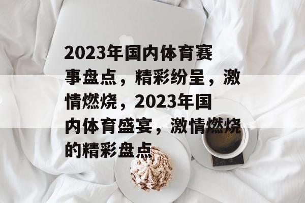2023年国内体育赛事盘点，精彩纷呈，激情燃烧，2023年国内体育盛宴，激情燃烧的精彩盘点