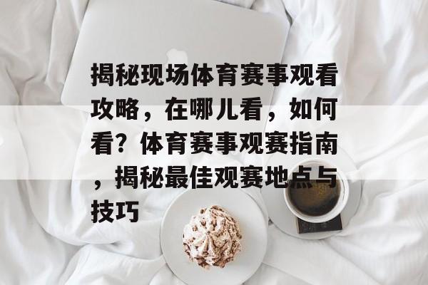 揭秘现场体育赛事观看攻略,在哪儿看,如何看?体育赛事观赛指南,揭秘最佳观赛地点与技巧 揭秘现场体育赛事观看攻略,在哪儿看,如何看?体育赛事观赛指南,揭秘最佳观赛地点与技巧